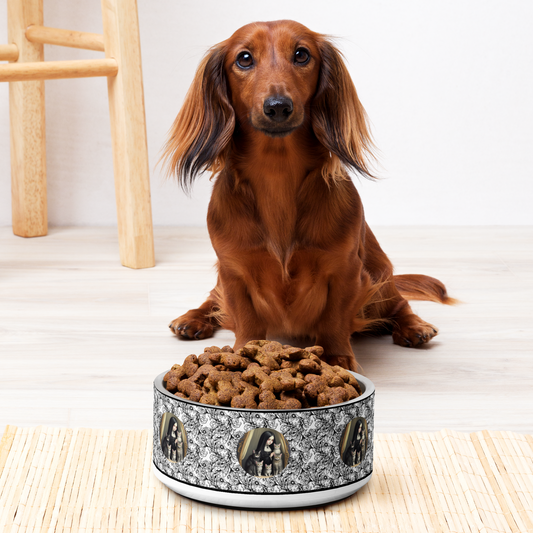 Wickham Family Portrait Pet bowl by laurameghan